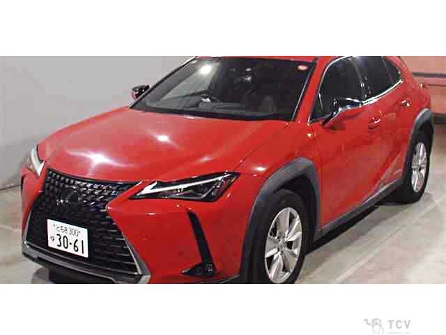 2019 Lexus Other