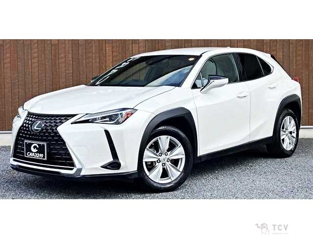 2019 Lexus Other