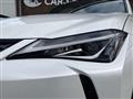2019 Lexus Other