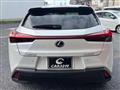2019 Lexus Other