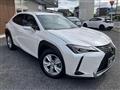 2019 Lexus Other