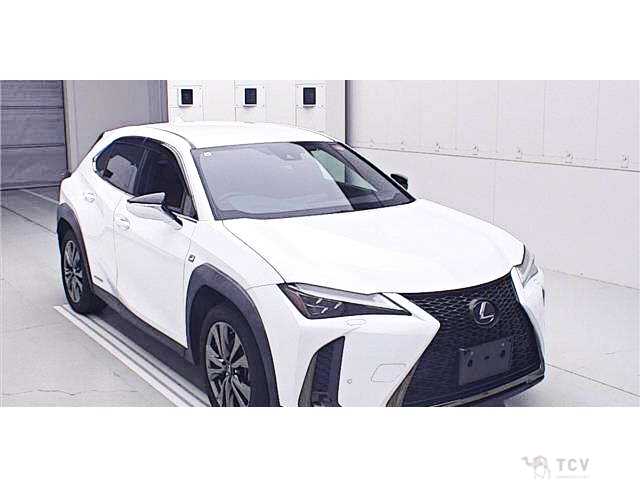 2019 Lexus Other