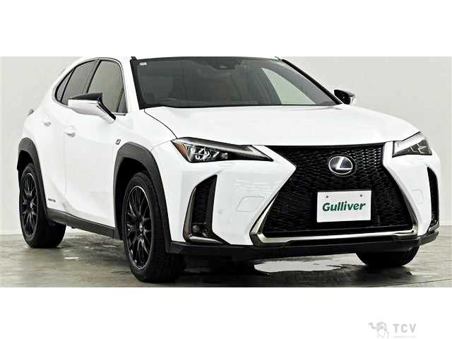 2019 Lexus Other