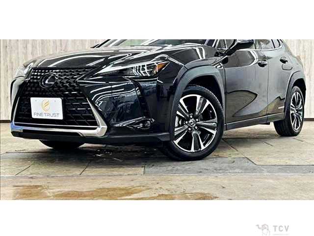 2019 Lexus Other