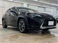 2019 Lexus Other