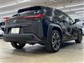 2019 Lexus Other