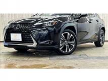 2019 Lexus Other