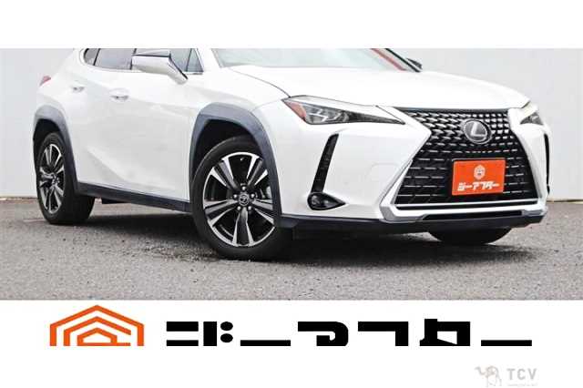 2019 Lexus Other