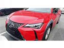 2019 Lexus Other