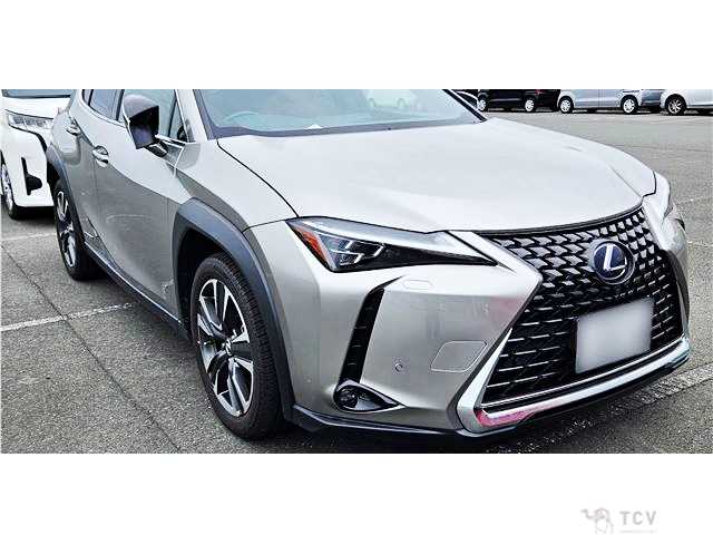 2019 Lexus Other
