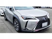 2019 Lexus Other