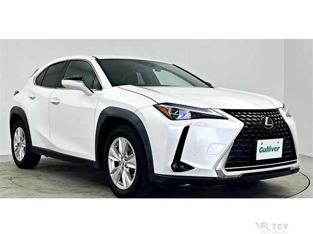 2019 Lexus Other