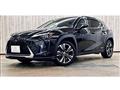 2019 Lexus Other