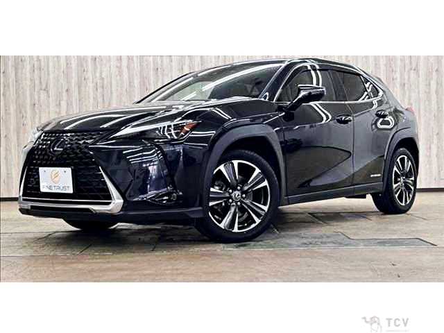 2019 Lexus Other