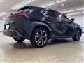 2019 Lexus Other