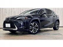 2019 Lexus Other