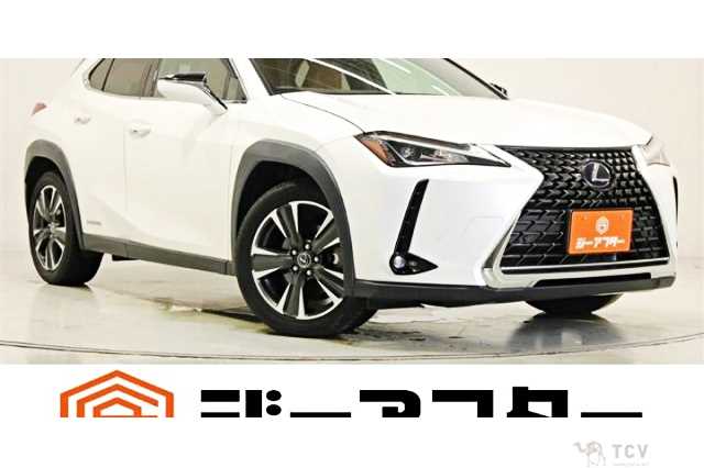 2019 Lexus Other