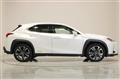 2019 Lexus Other