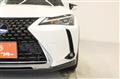 2019 Lexus Other