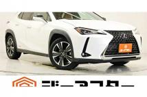2019 Lexus Other