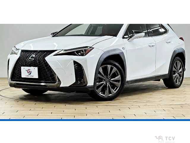 2019 Lexus Other