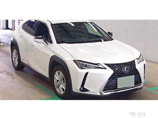 2019 Lexus Other