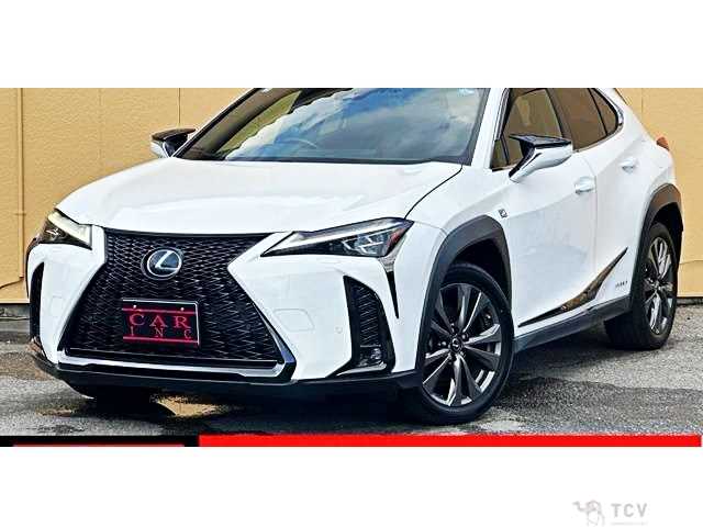 2019 Lexus Other