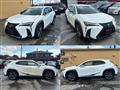 2019 Lexus Other