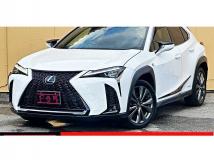 2019 Lexus Other