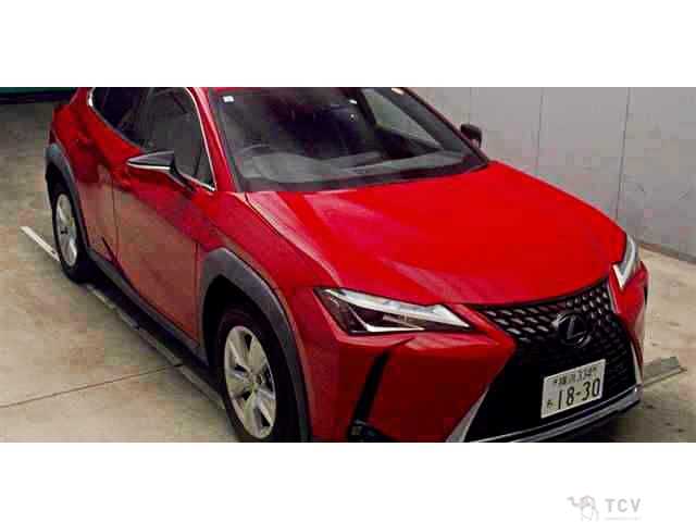 2019 Lexus Other