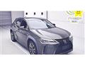 2019 Lexus Other