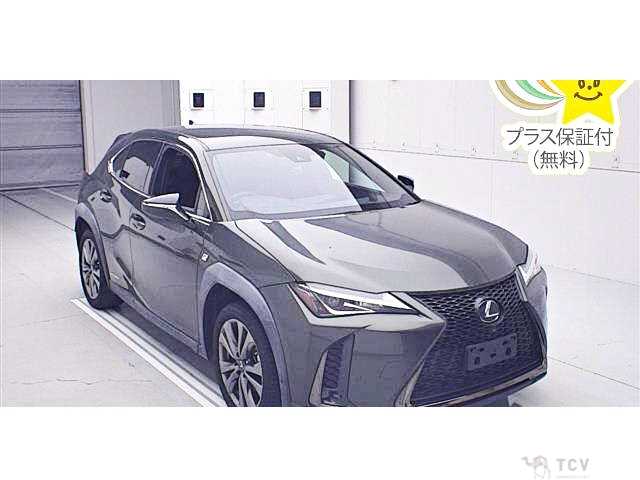 2019 Lexus Other