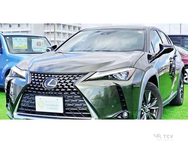 2019 Lexus Other