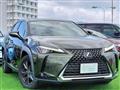 2019 Lexus Other