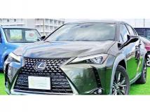 2019 Lexus Other