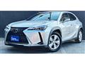 2019 Lexus Other