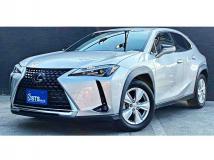 2019 Lexus Other