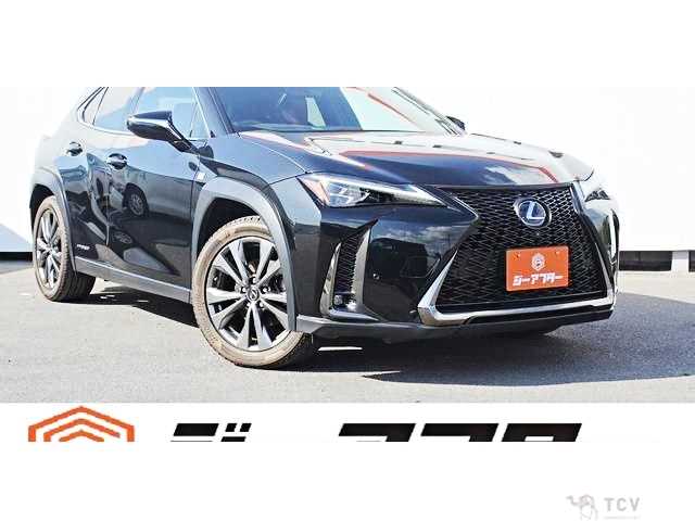 2019 Lexus Other