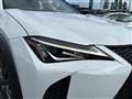 2019 Lexus Other