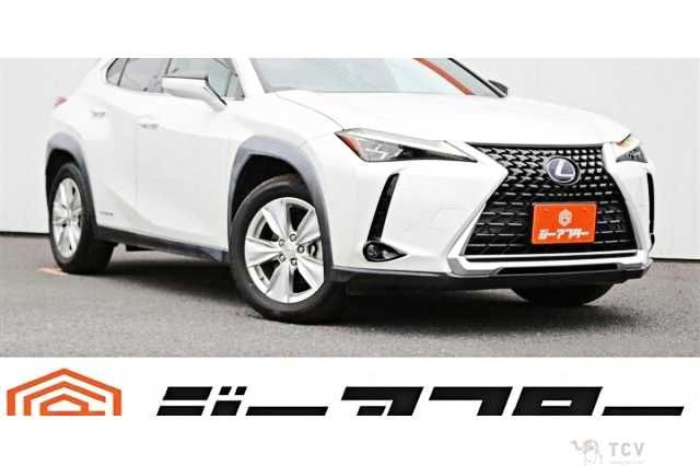2019 Lexus Other