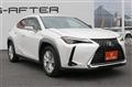 2019 Lexus Other