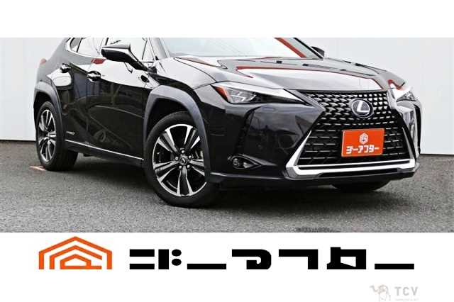 2019 Lexus Other