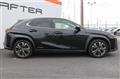 2019 Lexus Other