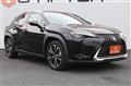 2019 Lexus Other