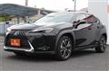 2019 Lexus Other