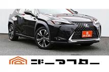 2019 Lexus Other