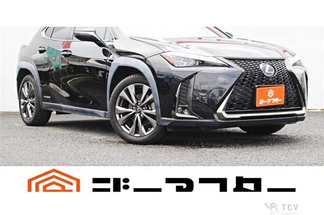 2019 Lexus Other