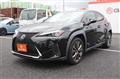 2019 Lexus Other