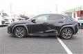 2019 Lexus Other