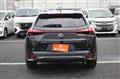 2019 Lexus Other